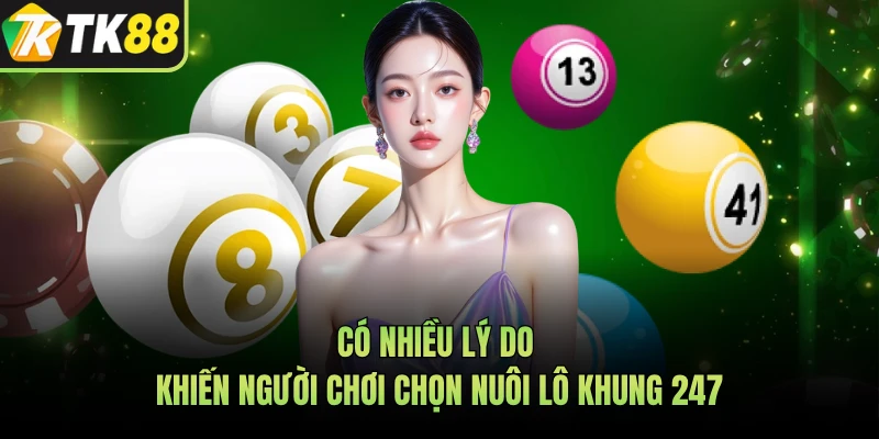 Có nhiều lý do khiến người chơi chọn nuôi lô khung 247